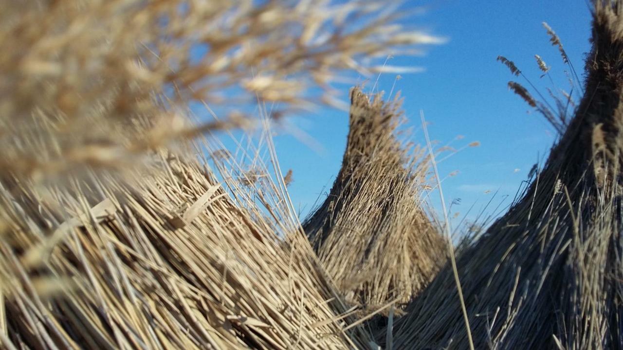 Laubgassl Leilighet Mörbisch am See Eksteriør bilde